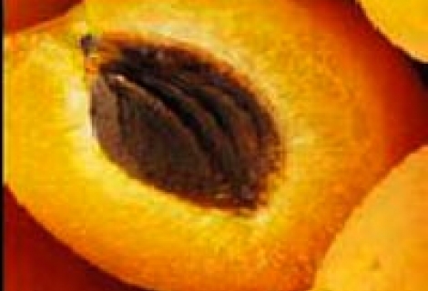 Ölümcül besinler