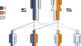 Abo Kan Uyuşmazlığı