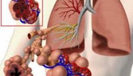 Akciğerlerin Vücuttaki Görevleri Nedir?
