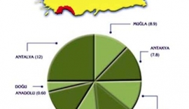 Akdemiz Anemisi Taşıyıcılığı