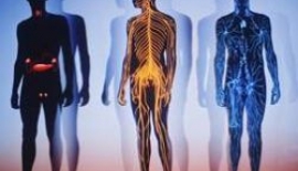 Akdeniz Ateşi Hastalığı