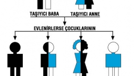 Akraba Evliliği