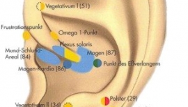 Akupunkturda Kulağın Önemi