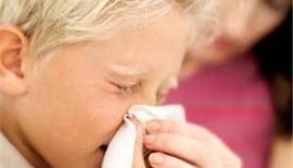 Akut Rinit Allerjik Rinit