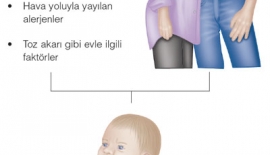 Alerjiler Kalıtım Yolu İle Geçebilir Mi?