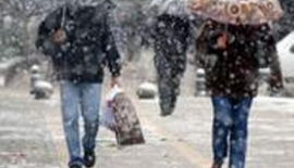 Alerjiler Öldürücü Olur Mu?