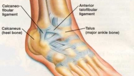 Ayak Bileği Burkulma Belirtileri