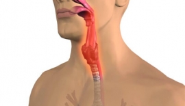Bademcik İltihabı Tanısı