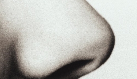 Burnun Belli Bir Görünüşü Var Mıdır?