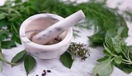 Cinsel Gücü Arttırıcı Maddeler