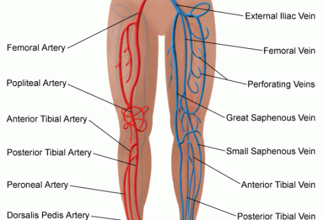 Ani Atardamar Tıkanıklığı