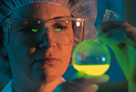 Antraks İnsanlarda Nasıl Gelişir?