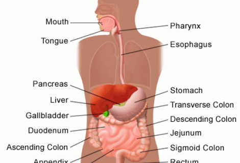 Apandisit Sebebi Nedir?