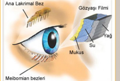 Blefarit