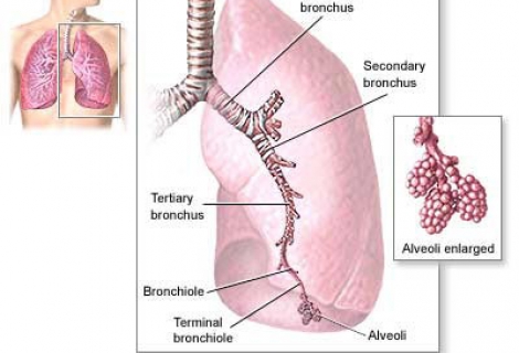 Byssinosis Nedir?