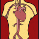 Aort Cerrahisi