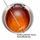 Argon Laser Fakik Vitrektomi