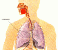 Akciğer Kanserinin Belirtileri