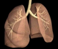 Akciğer Kanserinin Tedavisi Nasıl Yapılır?