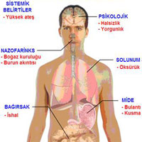 Bakteriyoloji ve Enfeksiyon Hastalıkları Doktorları